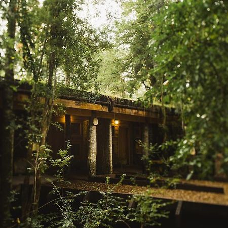 Huilo Huilo Nawelpi Lodge Puerto Fuy Esterno foto