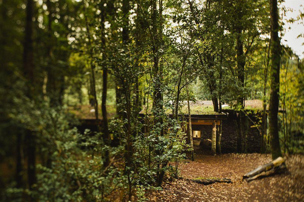 Huilo Huilo Nawelpi Lodge Puerto Fuy Esterno foto