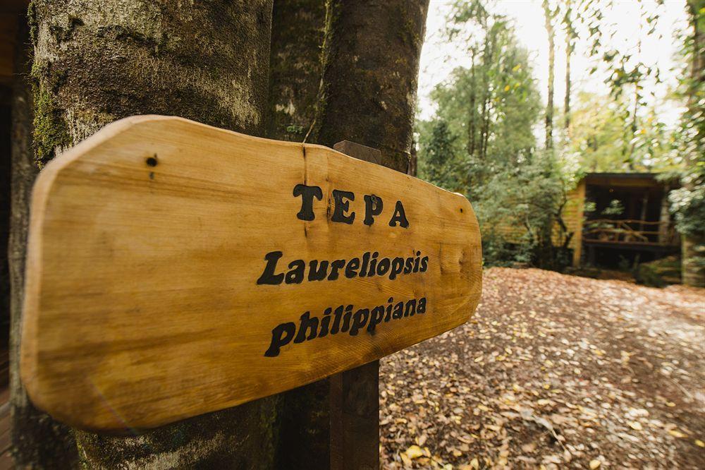 Huilo Huilo Nawelpi Lodge Puerto Fuy Esterno foto