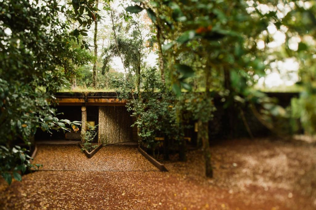 Huilo Huilo Nawelpi Lodge Puerto Fuy Esterno foto